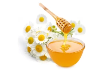 Come prevenire la fermentazione del miele: La scienza del controllo dell'umidità per gli apicoltori