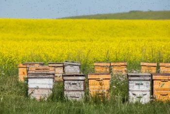 How to Build a Smarter Beekeeping Tool kit: Strategic Tools for Every Hive Challenge