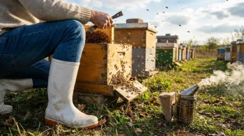 How to Choose Beekeeping Footwear That Stops Stings Without Sacrificing Comfort