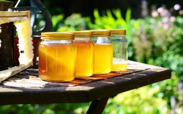 Come raccogliere il miele in modo efficiente proteggendo la salute delle api