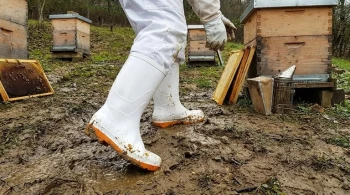 How to Choose and Maintain Slip-Resistant Footwear for Safe Beekeeping