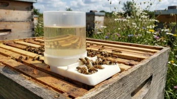 How to Extend Mason Jar Bee Feeder Lifespan: Maintenance & Material Guide