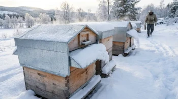 Comment les toits de ruche télescopiques surpassent les climats froids : une analyse coûts-avantages