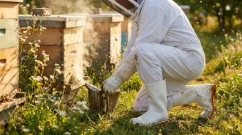 How to Choose Beekeeping Boots: Safety, Durability, and Comfort Criteria Explained