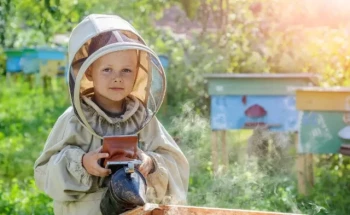 Come scegliere una tuta per api sicura e confortevole per i bambini: Guida all'apicoltura familiare