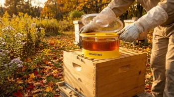 Optimizing Fall Bee Feeding: The Science and Strategy Behind the 2:1 Syrup Ratio