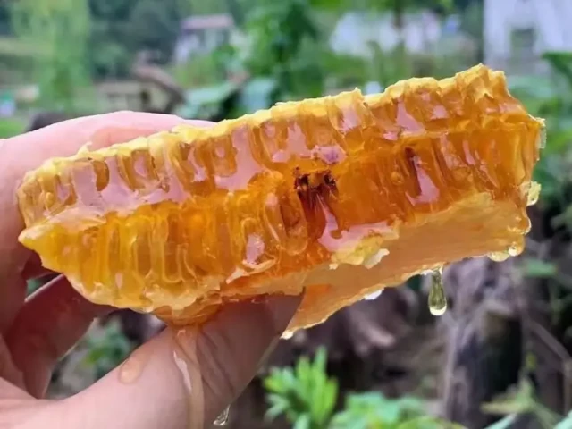 How to Choose the Right Honey Extraction Method for Your Beekeeping Needs