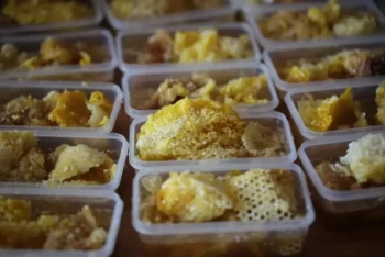 How to Optimize Honey Production Through Strategic Super Management