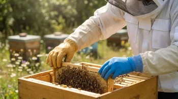 How to Choose Beekeeping Gloves: Material, Fit, and Care Explained