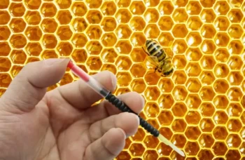 How to Master Queen Rearing with Precision Grafting Tools