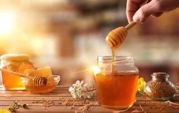 Optimizing Honey Filtration: How Mesh Sizes Shape Quality and Market Appeal