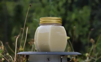 How to Choose a Honey Filling Machine: Balancing Efficiency, Customization, and Cost