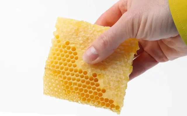 How to Choose the Right Beeswax Uncapping Tool for Your Beekeeping Needs