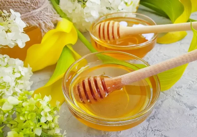 How Honey Heating Tanks Preserve Quality and Efficiency in Modern Beekeeping