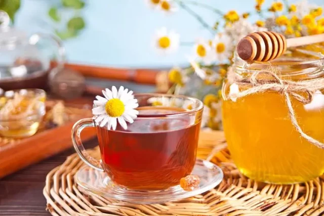 How Honey Vacuum Thickeners Cut Costs Without Sacrificing Quality for Small Honey Producers