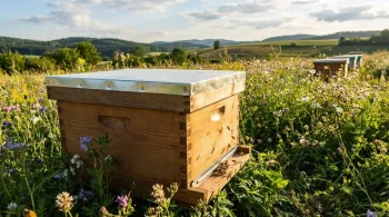 How Outer Telescoping Covers Protect Beehives: Materials and Design Explained