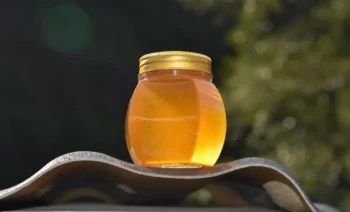 How to Stop Honey Robbing: Science-Backed Strategies for Safe Harvesting