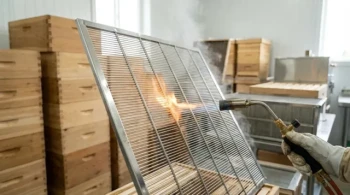 金属王后隔王片如何为可消毒的蜂场提供长达十年的价值