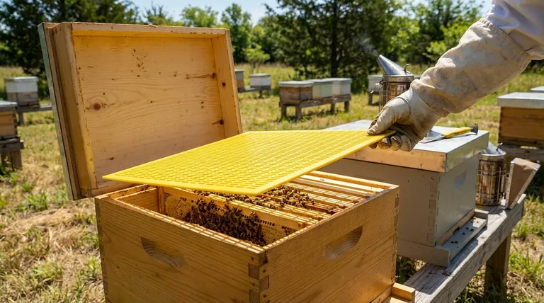 Как выбрать подходящий разделитель для матки для успеха вашей пчеловодческой деятельности