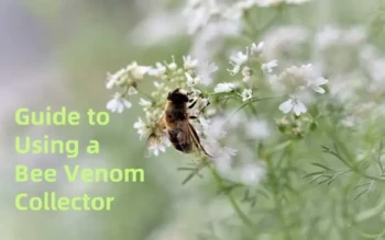 Ein umfassender Leitfaden zur Verwendung eines Bienen-Bienengift-Kollektors