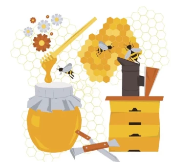 L'attrezzatura apistica essenziale per i principianti: Funzioni, selezione e buone pratiche