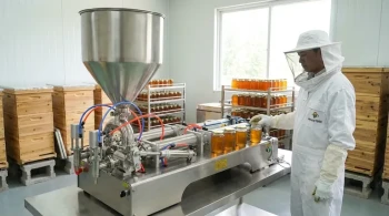 The Physics of Flow, The Psychology of Scale: Choosing Your Honey Filling Machine