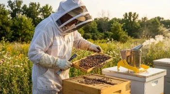 How to Choose and Maintain Beekeeping Protective Gear Like a Pro