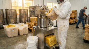 Are You Throwing Away Profit? Why Commercial Apiaries Need a Honey Press
