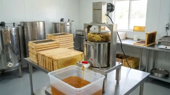 Der letzte Tropfen: Maximierung von Ausbeute und Reinheit mit einer Honigpresse aus Edelstahl