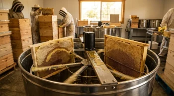 Why Your Plastic Frames Are Warping—And Costing You More Than You Think