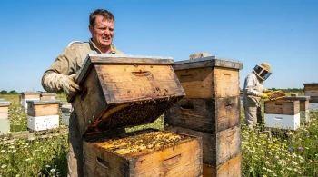The 90-Pound Mistake: Why Your Heaviest Bee Boxes Are Costing Your Business More Than Just Back Pain