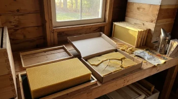 Why Your Beeswax Foundation Fails: A Guide to Preventing Costly Warping and Breakage