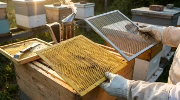 The Ten-Year Gate: Why Your Queen Excluder Defines Your Apiary's Economics