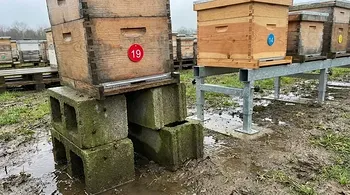 Your Cinder Blocks Are Costing You Colonies: The Business Case for a Proper Hive Stand