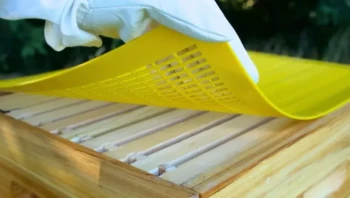 How Queen Excluders Optimize Hive Productivity: Benefits, Limitations & Advanced Techniques