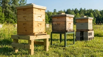 Die unsichtbare Stiftung: Warum der Bienenstockständer den Erfolg Ihres Bienenhauses bestimmt