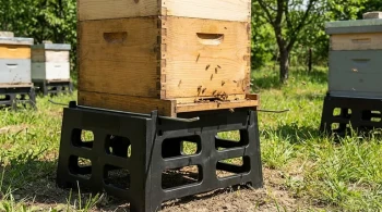 Beyond the Box: The Foundational Engineering of the Hive Stand