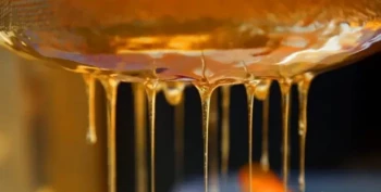 How Beekeepers Prevent Honey Spoilage Through Perfect Harvest Timing