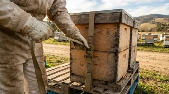 The Hidden Reason Your Hive Straps Keep Loosening—And How to Fix It for Good
