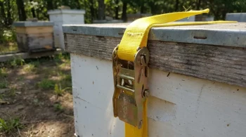 The Mechanics of Trust: Why Your Hive Strap Choice is More Than Just a Purchase
