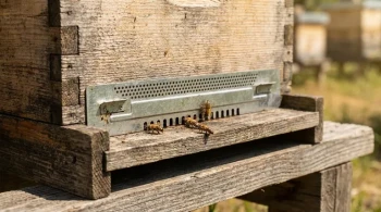 More Than a Block of Wood: How the Hive Entrance Reducer Governs a Colony's Fate