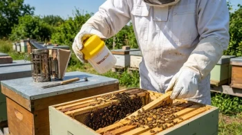 The Tyranny of Small Numbers: Mastering Varroa Mite Math Before It Masters Your Hives