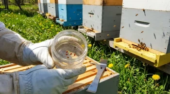 The Tyranny of Small Numbers: Why Spring Varroa Control is a Battle of Exponents