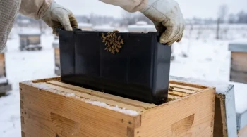 Why Your Bees Are Starving in Winter (And How the Right Feeder Prevents It)