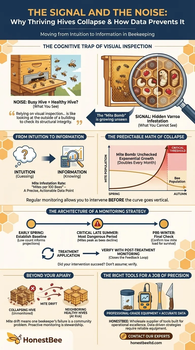 The Signal and the Noise: Why Thriving Hives Collapse and How Data Prevents It Visual Guide