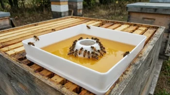 The Paradox of Care: How Bee Feeder Design Prevents a Silent Drowning