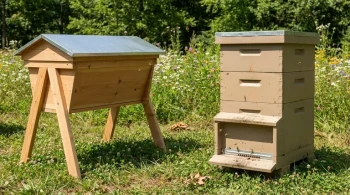 Plastic vs. Wood Beehives: How to Choose for Sustainability, Performance, and Budget