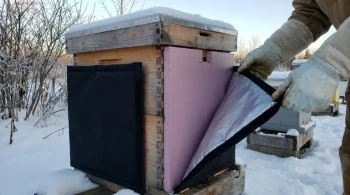 Die Konstruktion des Wintervolks: Die strategische Begründung für Hartschaumplattendämmung