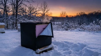 Jenseits der Wärme: Die kritische Thermodynamik überwinternder Honigbienen