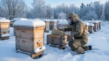 The Winter Engine: How One Generation of Bees Decides Your Apiary's Fate